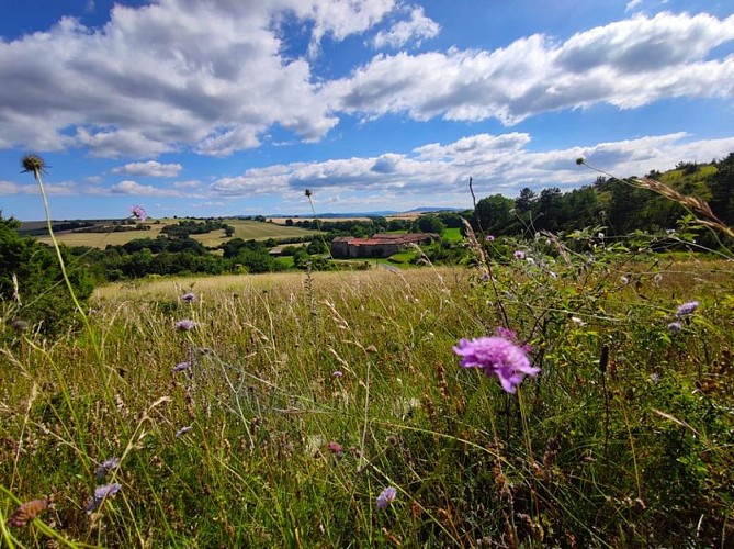 Ferme de Mascourbe La Borie