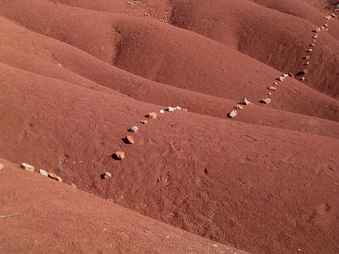Le Rougier de Camarès