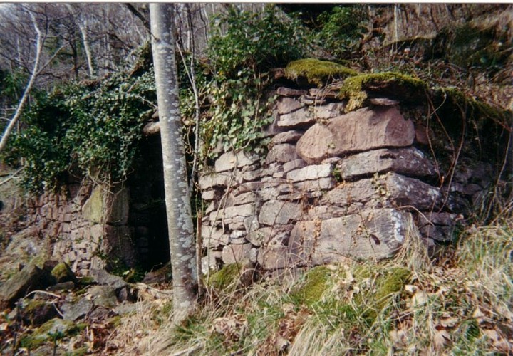 Ruine de la jasse du maquis