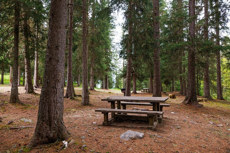 Zona de picnic del Altiport
