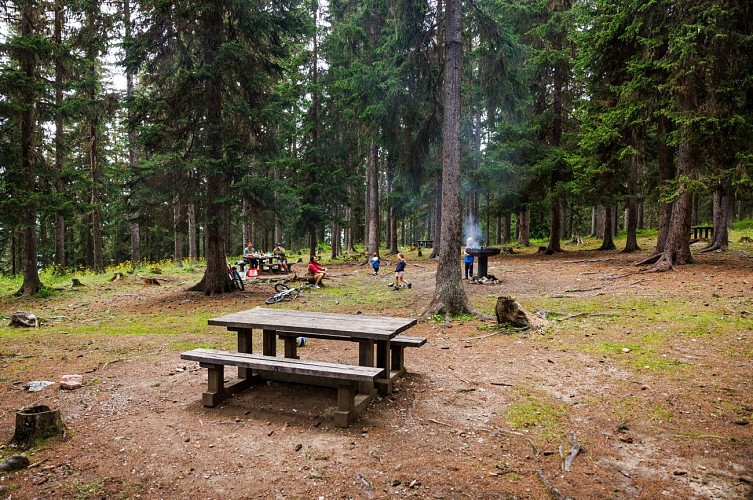 Zona de picnic del Fontany