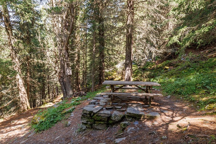 Picnic area of the top of the botanical trail