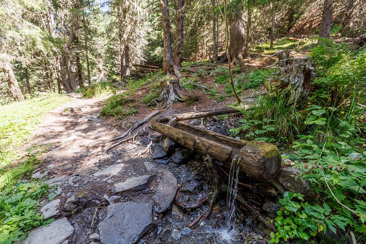Picnic area of the top of the botanical trail