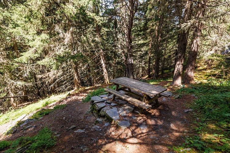 Zona de picnic de la cima del sendero botánico