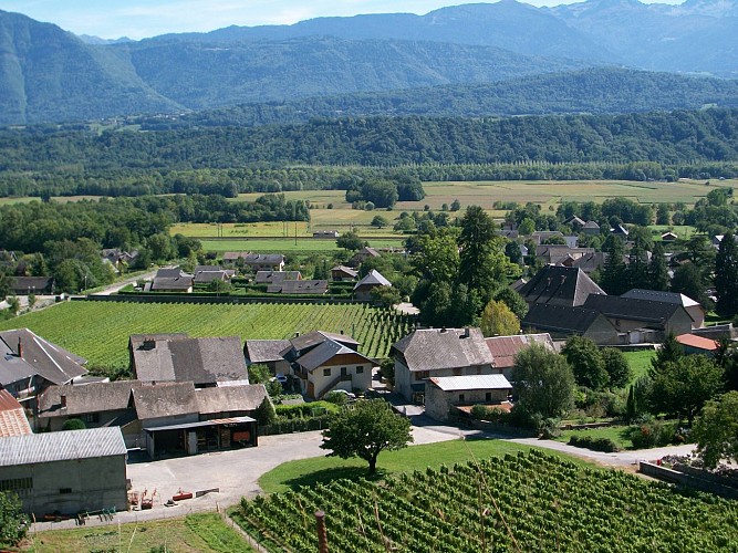 Domaine de Méjane