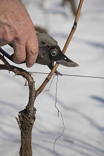 Maison Philippe Grisard