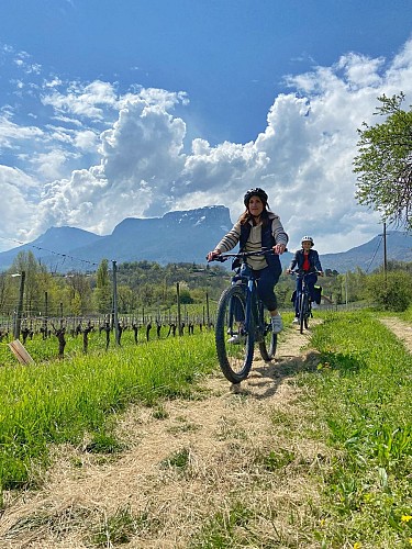 En roue libre dans les vignobles de Savoie !