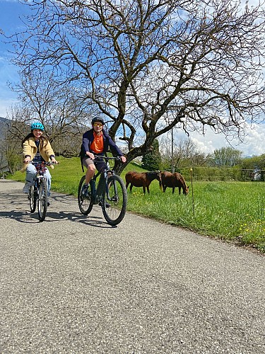 En roue libre dans les vignobles de Savoie !