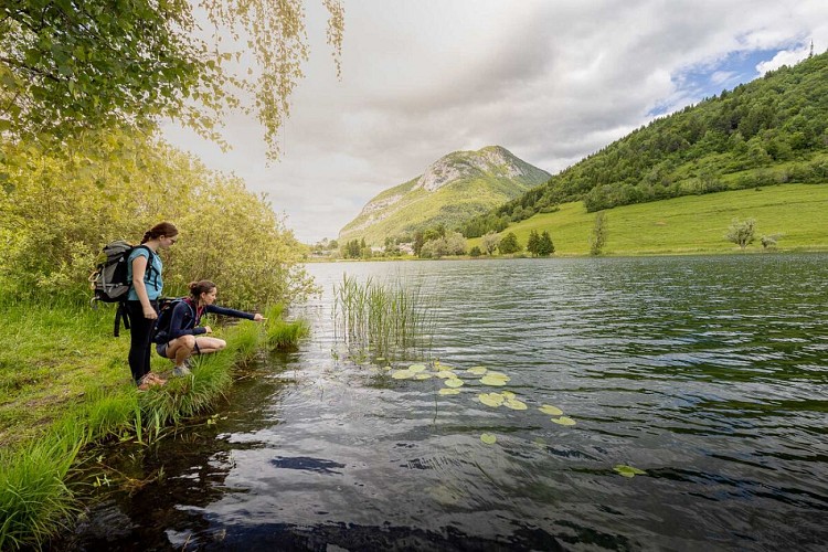 Là-Haut, cabanes perchées