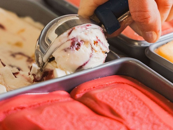 Design sans titre - 1