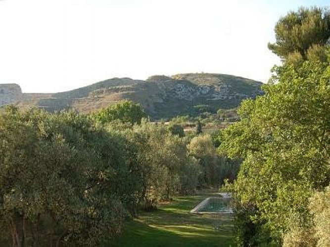 Campagne Saint-Jean de Matha