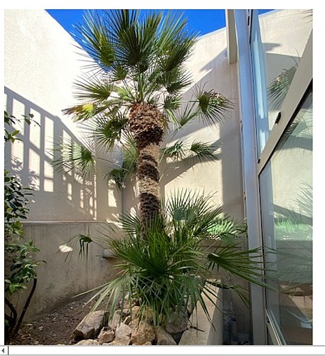 LE CHERGUI - N° 2840