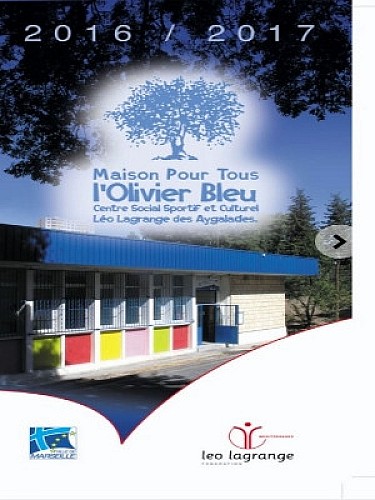 Maison pour Tous L'Olivier Bleu
