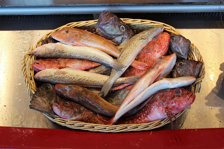 Chez Michel- Brasserie des Catalans