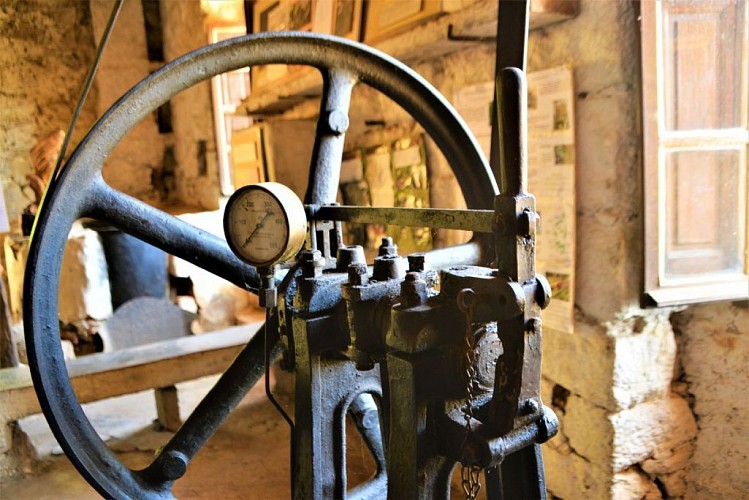 Eco_musée du moulin à huile de Tallano