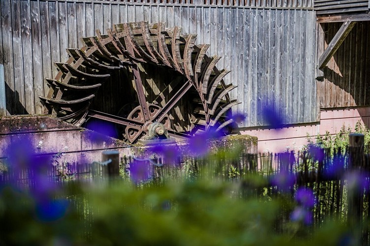 Roue du moulin d'Eschviller. 