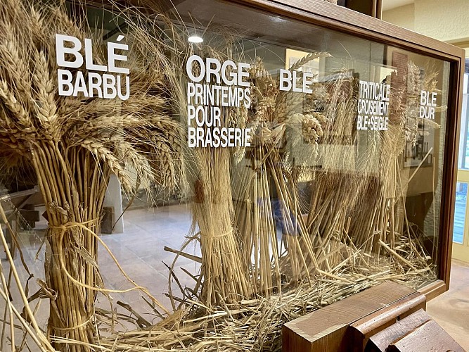 Sortes de céréales au moulin d'Eschviller.