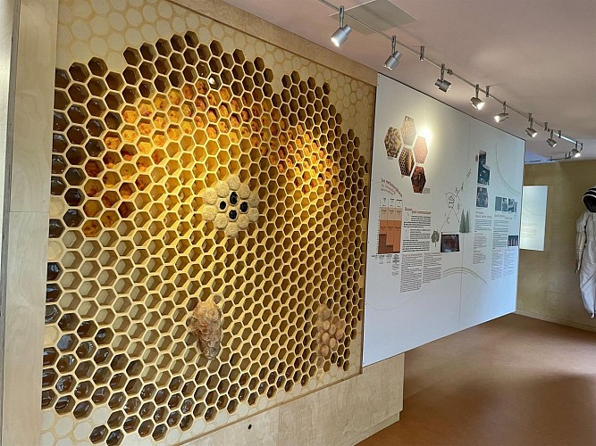 Rucher pédagogique.