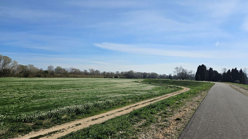 Voie verte Beaucaire Fourques