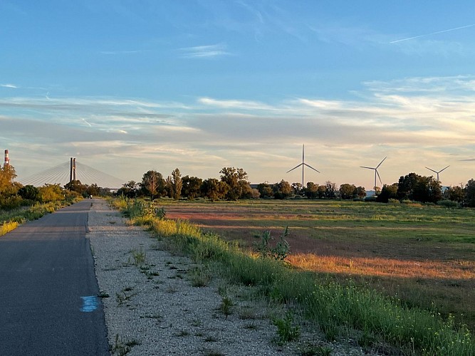Voie verte Beaucaire Fourques