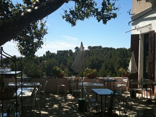 Le Cigalon de la Treille