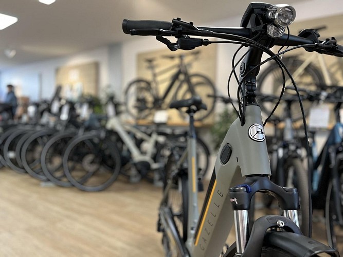 ELECTROBIKE - Location de vélos