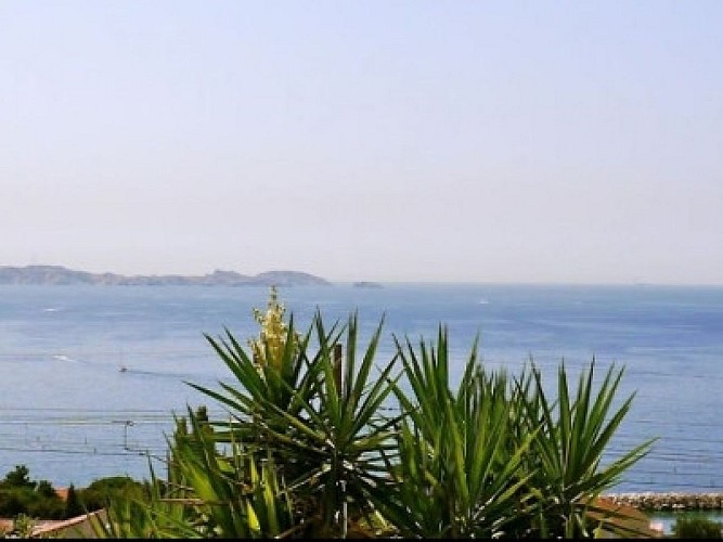 Ose Iris chez Brij et Vincent