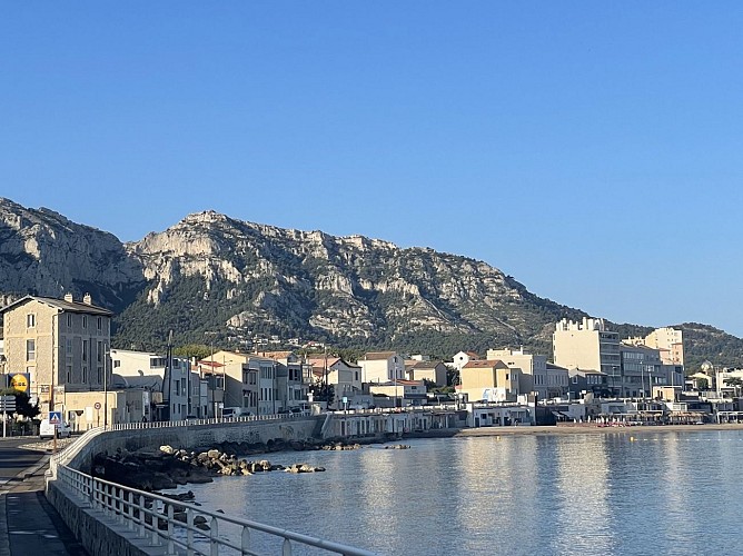 Balaena hébergement