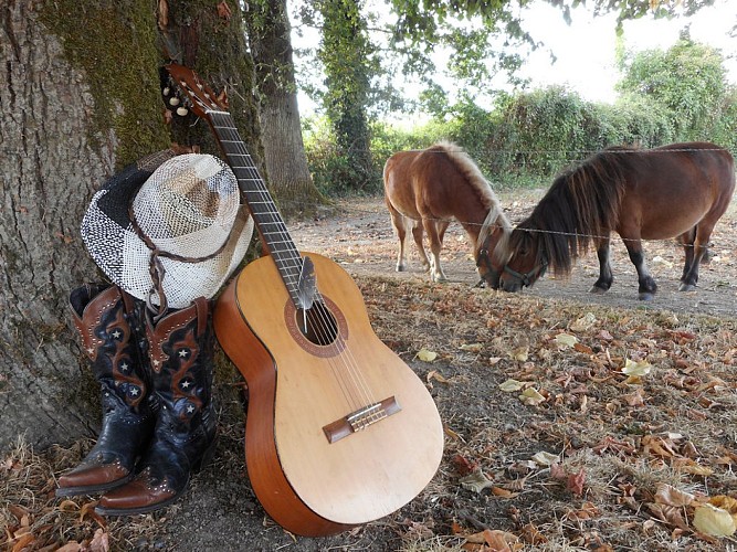 DOMAINE DE LA MÉNIE- CHAMBRE NATURE