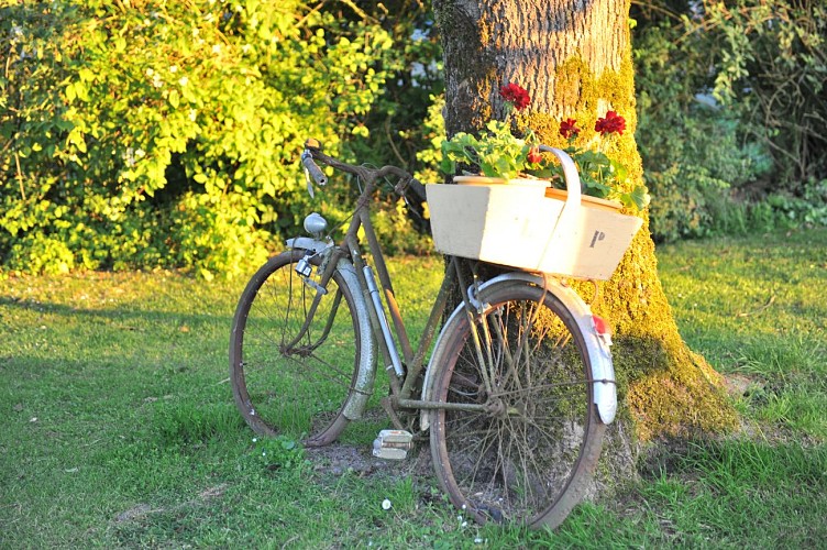 DOMAINE DE LA MÉNIE- CHAMBRE NATURE