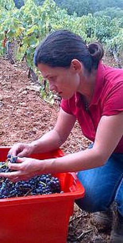 Microcosmos chai urbain