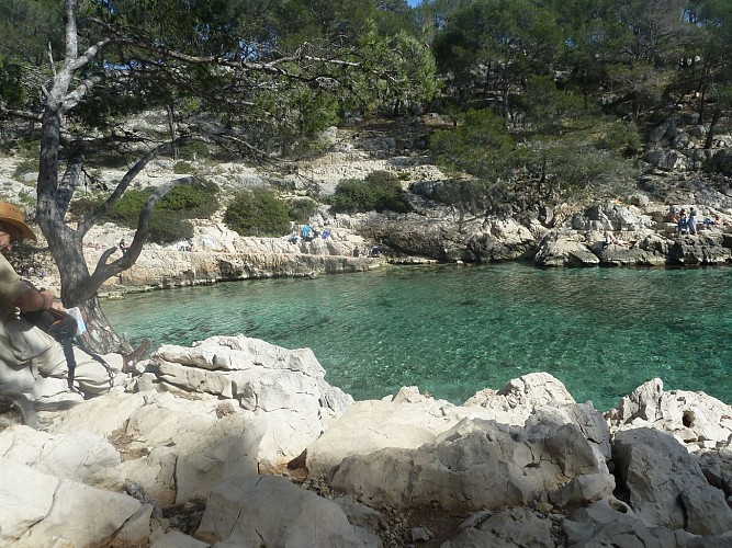 Beach Calanque of Port Pin