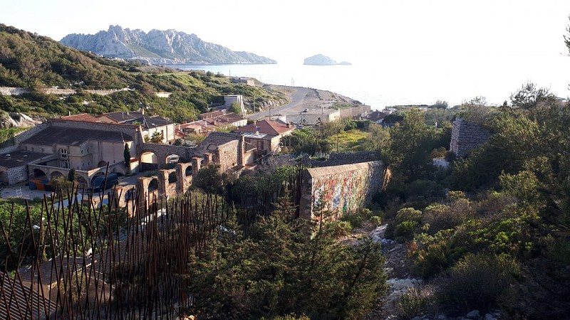 Friche de l'Escalette