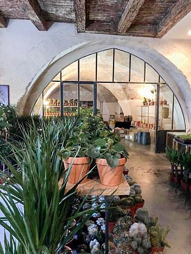 Le Jasmin de Carthage