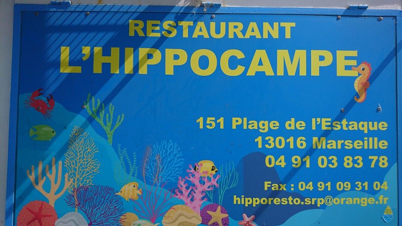 L'Hippocampe