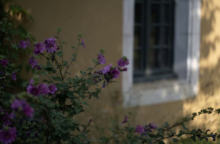 Maison Mirabelle Gamarde 