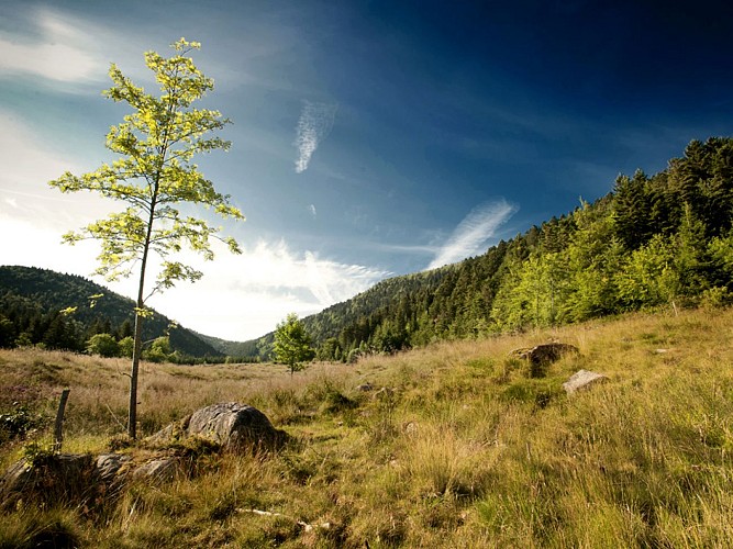 La vallée du Fossat