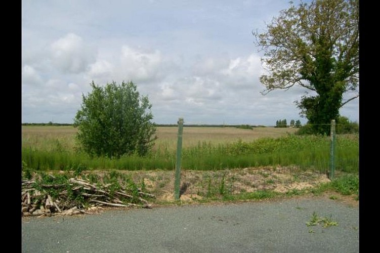 Maison à la Grière - La Tranche sur Mer