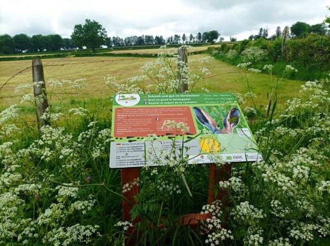 Heckenweg wirtzfeld 01 c naturpark hohes venn eifel