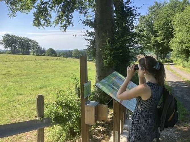 Heckenweg wirtzfeld 11 c wfg ostbelgien