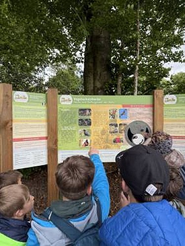 Heckenweg wirtzfeld 09 c naturpark hohes venn eifel