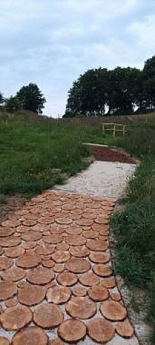 Heckenweg wirtzfeld 05 c naturpark hohes venn eifel