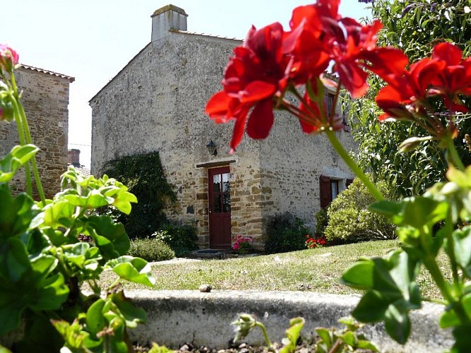 LES GÎTES DU MARAIS "LE POTAGER"