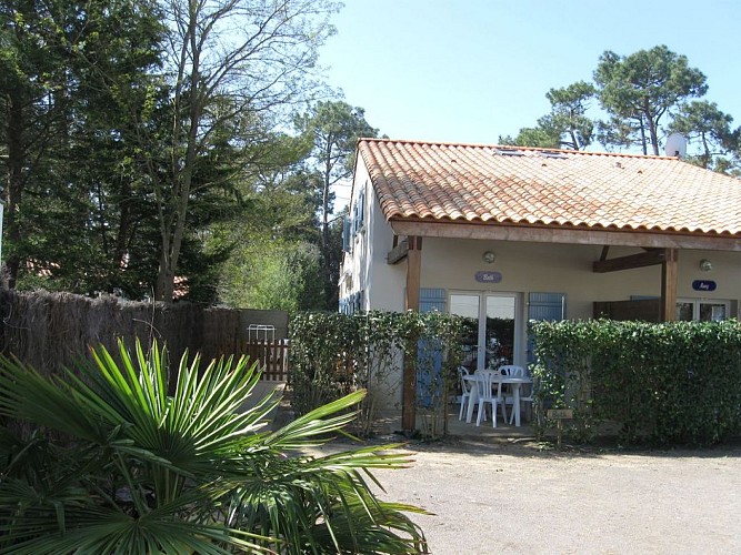 SARL LES 4 PINS "AMY"