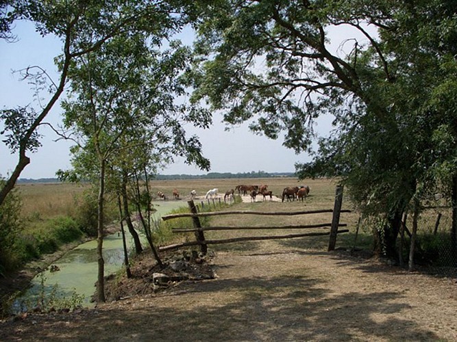 Gîte le Closier des Saulises