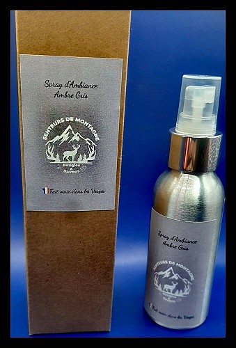 Spray d'ambiance 100 ml (plusieurs senteurs au choix)