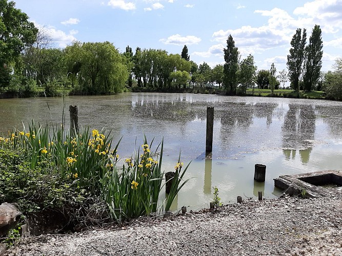 MEUBLÉ LES ROSEAUX