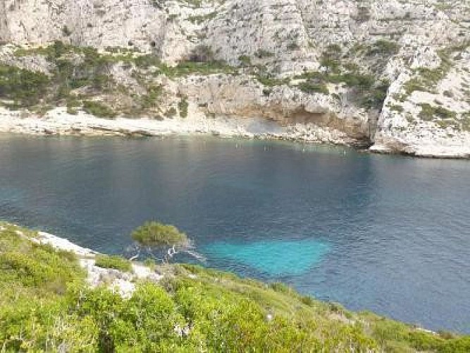 Playa de Morgiou calanque