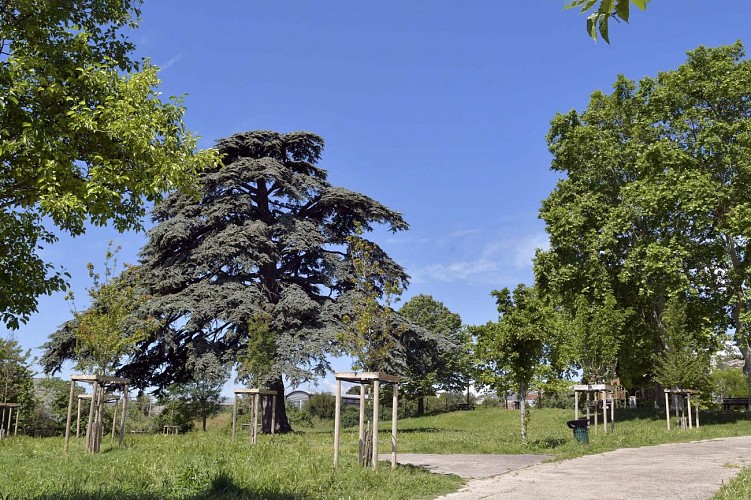 Parc de la Pelouque