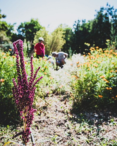 Relais nature Saint-Joseph